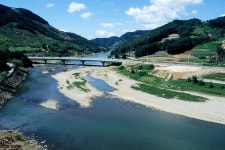 충주에서 잡힌 특산종, 133년 만에 밝혀진 정체에 학계 발칵 < 사회... 충주에서 잡힌 특산종, 133년 만에 밝혀진 정체에 학계 발칵... 