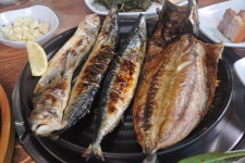 생선구이, 전자레인지는 피하세요 < 생활 < 라이프 < 기사본문... 조리기구의 배신?... 생선구이, 전자레인지는 피하세요 - 오토트리뷴