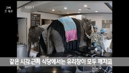 식당 벽 부수고 들어온 코끼리, 짧은 영상에 누리꾼 발칵 < 사회 < 이슈 < 기사본문 - 오토트리뷴 AI 논란까지 붙었다... 식당 벽 부수고 들어온... 