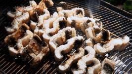 기력 회복엔 최고... 해양수산부 선정, 꼭 먹어야 할 1월 제철 수산물은? < 생활 < 기사본문 - 오토트리뷴 기력 회복엔 최고... 해양수산부 선정... 