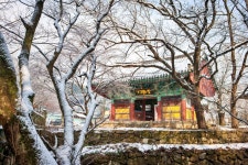 역대급 겨울 설경... 국보 포함 보물 11점, CNN 선정 가장 아름다운 사찰 < 여행 < 기사본문 - 오토트리뷴 역대급 겨울 설경... 국보 포함 보물... 