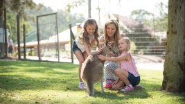 골드코스트 파라다이스 컨트리 팜 농장 입장권 :: 줌줌투어 - 호주 - 골드코스트