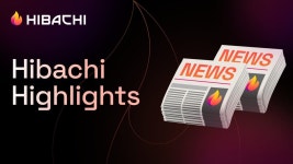 히바치 주간 거래량 7780만달러 기록, 기능 업데이트 대거 진행 | 블록미디어