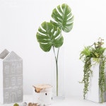                 몬스테라 X 2_56cm FMRJ351-5988 몬스테라 X 2_56cm FMRJ351-5988