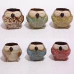                 H7048 부엉이 다육이미니화분 6p세트 H7048 부엉이 다육이미니화분 6p세트