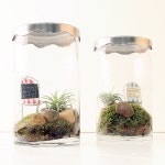                 나의 작은 정원 나의 작은 정원