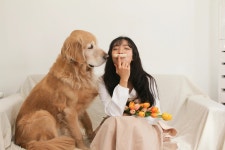 CLASS101 | 내 인생 하나뿐인 강아지를 위한 건강을 담은 20가지 수제간식 레시피 내 인생 하나뿐인 강아지를 위한 건강을 담은 20가지... 