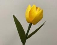 CLASS101 | 내 손안에서 피어나 영원히 시들지 않는 페이퍼플라워 내 손안에서 피어나 영원히 시들지 않는 페이퍼플라워 | 메리메이드