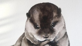 CLASS101 | 수채화로 쉽게 그리는 동글동글 멍냥이 수채화 수채화로 쉽게 그리는 동글동글 멍냥이 수채화 | 지니