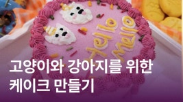 CLASS101 | 내 인생 하나뿐인 강아지를 위한 건강을 담은 20가지 수제간식 레시피 내 인생 하나뿐인 강아지를 위한 건강을 담은 20가지... 