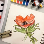 CLASS101 | 洗練された美しいボタニカルアートを水彩画で学ぼう 洗練された美しいボタニカルアートを水彩画で学ぼう  | Jamie