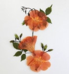 CLASS101 | 내 공간을 빛내줄 레진 인테리어 소품 만들기 내 공간을 빛내줄 레진 인테리어 소품 만들기 | 스튜디오 재미