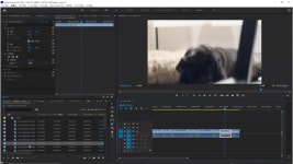 CLASS101 | 처음 사용하시는 분도 도전하실 수 있는 동영상 편집!... 있는 동영상 편집!“추억”에서 “비즈니스 이용”까지!프리미어 프로... 