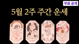 CLASS101 | [주간101] 타로테사의 주간 종합 타로운세 [주간101] 타로테사의 주간 종합 타로운세 | 타로테사