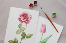 CLASS101 | 식물과 꽃으로 힐링하는 감성 수채화 클래스 식물과 꽃으로 힐링하는 감성 수채화 클래스 | 나도꽃