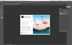 CLASS101 | 패턴디자인, 포토샵으로 가장 쉽게 만들기 패턴디자인, 포토샵으로 가장 쉽게 만들기 | 무늬상점