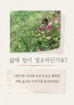 클래스101 | 창의성 & EQ 200% 끌어올리는 우리 아이 숲교육 가이드북 | 이안 창의성 & EQ 200% 끌어올리는 우리 아이 숲교육 가이드북  | 이안