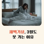 드림플래너