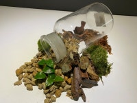 CLASS101 | 방 안의 작은 세상, 내 손으로 만드는 비바리움 방 안의 작은 세상, 내 손으로 만드는 비바리움 | 주노준호