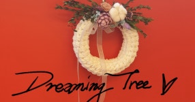 CLASS101 | 손가락만으로 만드는 핑거니팅, 버려지는 양말목으로 감성 생활소품 만들기 손가락만으로 만드는 핑거니팅, 버려지는 양말목으로... 