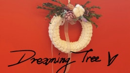 CLASS101 | 환경을 지키는 착한 공예 도구가 필요 없는 양말목 공예 업사이클링 환경을 지키는 착한 공예 도구가 필요 없는 양말목 공예... 