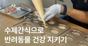 CLASS101 | 펫푸드 영양학 전문가와 함께하는 반려동물 수제간식 만들기 펫푸드 영양학 전문가와 함께하는 반려동물 수제간식 만들기 | 하루