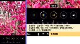 CLASS101 | ‘카린이’를 위한 스마트폰 식물 & 풍경 사진 ‘카린이’를 위한 스마트폰 식물 & 풍경 사진 | 넬라