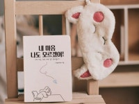 - 나의 마음, 감정 바로 알고 받아들이기 - 내 마음 나도 모르겠어! - 나의 마음, 감정 바로 알고 받아들이기 - | 마음별여행자