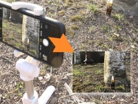 CLASS101 | 스마트폰으로 찍는 쇼핑몰 상품 사진 - 카린이들 환영합니다 스마트폰으로 찍는 쇼핑몰 상품 사진 - 카린이들 환영합니다 | 넬라