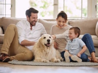 반려동물 클래스 베스트 10 | CLASS101+ | 세상의 모든 클래스