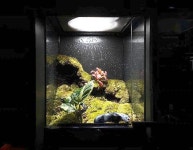 CLASS101 | 방 안의 작은 세상, 내 손으로 만드는 비바리움 방 안의 작은 세상, 내 손으로 만드는 비바리움 | 주노준호