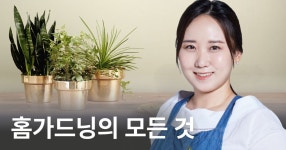CLASS101 | 식물 키우기 입문: 흙·햇빛·물·비료까지 기초 완성 온라인 클래스 식물 키우기 입문: 흙·햇빛·물·비료까지 기초 완성 온라인... 