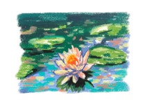 CLASS101 | 알록달록 오일파스텔로 나만의 색감을 찾아보는 시간 알록달록 오일파스텔로 나만의 색감을 찾아보는 시간 | undefined