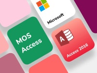 CLASS101 | 한 번에 따는 MOS Access 2016 한 번에 따는 MOS Access 2016 | IT백과사전