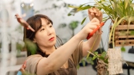 작은아씨들 그 특별한 난초, 초보자의 화려한 서양란 키우기 작은아씨들 그 특별한 난초, 초보자의 화려한 서양란 키우기 | 오솔식물카페