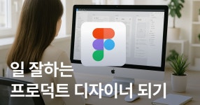디자이너 되기 (구축부터 운영까지) [구독]피그마 디자인 시스템으로 일 잘하는 프로덕트 디자이너 되기 (구축부터 운영까지)  | 피그마블로그