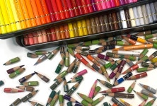 CLASS101 | 시들지 않는 꽃, 색상별로 그려보는 색연필 보태니컬 아트 시들지 않는 꽃, 색상별로 그려보는 색연필 보태니컬 아트 | 아티스트... 