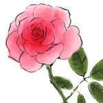아이패드로 그리는 보태니컬 아트 색연필, 수채화, 한국화를 한 번에! 아이패드로 그리는 보태니컬 아트 | Taru