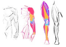 CLASS101 | 나의 취향을 듬뿍 담아 그려요, 상상을 현실로 만들어줄 디지털 드로잉 나의 취향을 듬뿍 담아 그려요, 상상을 현실로 만들어줄... 