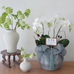 CLASS101 | 하나의 꽃으로 이어지는 다양한 수익 시스템, 플라워샵 창업하기 하나의 꽃으로 이어지는 다양한 수익 시스템, 플라워샵 창업하기... 