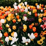 CLASS101 | 시작해봤던 사람들을 위한 피아노 연주&반주 시작해봤던 사람들을 위한 피아노 연주&반주 | 지성철