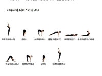 CLASS101 | 초보도 따라할 수 있는 하타요가 시퀀스 북 초보도 따라할 수 있는 하타요가 시퀀스 북 | Yogada_Yeah