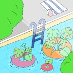 CLASS101 | 식물과 일상을 함께 그리는 서리의 디지털 드로잉 클래스 식물과 일상을 함께 그리는 서리의 디지털 드로잉 클래스 | 서리