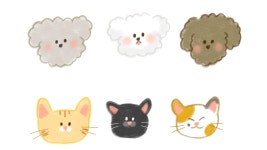 CLASS101 | 스케치북 앱으로 시작하는 디지털 드로잉 입문 완전 정복 스케치북 앱으로 시작하는 디지털 드로잉 입문 완전 정복 | 더나은채쌤