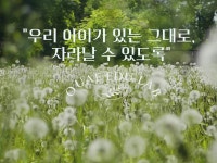 명리학·타로·색채 심리로 완성하는 자녀 바로 알기! [OSIM 입문... 명리학·타로·색채 심리로 완성하는 자녀 바로 알기! | OUAF EDU LAB