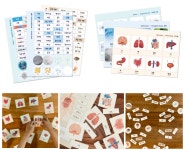 CLASS101 | 융합놀이로 탐구하는 초등 과학! 채우다 STEAM 포트폴리오 융합놀이로 탐구하는 초등 과학! 채우다 STEAM 포트폴리오... 