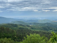 대관령 전망대 \(ㅇㅁㅇ)/ : 클리앙