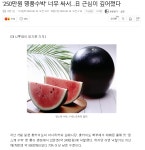 250만원이 생겼습니다. 수박과 Gaming PC, 둘중에 하나를 택하라면? : 클리앙