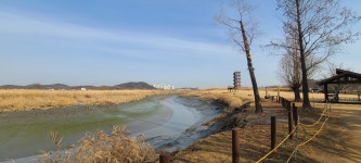 오늘의 갯골생태공원.jpg : 클리앙