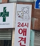 미용 말고 계약도 잘할 것 같은 동물병원 : 클리앙